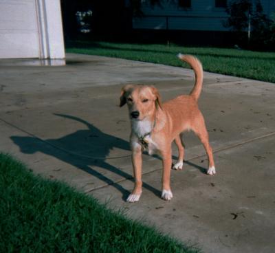 u42/nancyb/medium/27124139.026_23acopy1.jpg