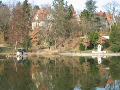 Pond_1.jpg