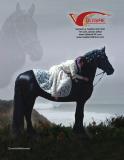 Voltaire All Breed Stallion Directory
