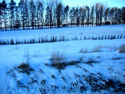 So much for Spring,still looks like winter to me