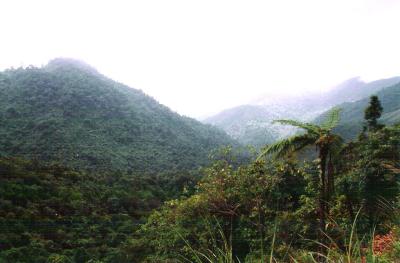 Bach Ma mountain 9 km post.Hue