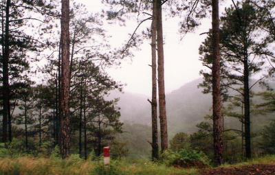 Prenn pass. Dalat