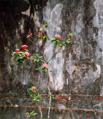 Tu Duc Monument.Hue