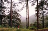 Prenn pass. Dalat