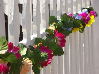 u42/nickhanks/medium/27235364.HFPLasticFlowersWEB.jpg