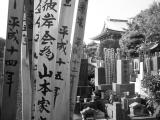 Tokyo Daibatsu graveyard