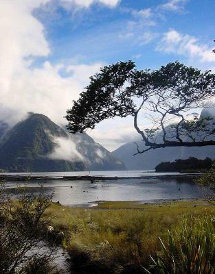 Milford Sound