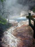 Hot Water Pool