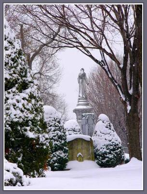 March 11 - More Snow.