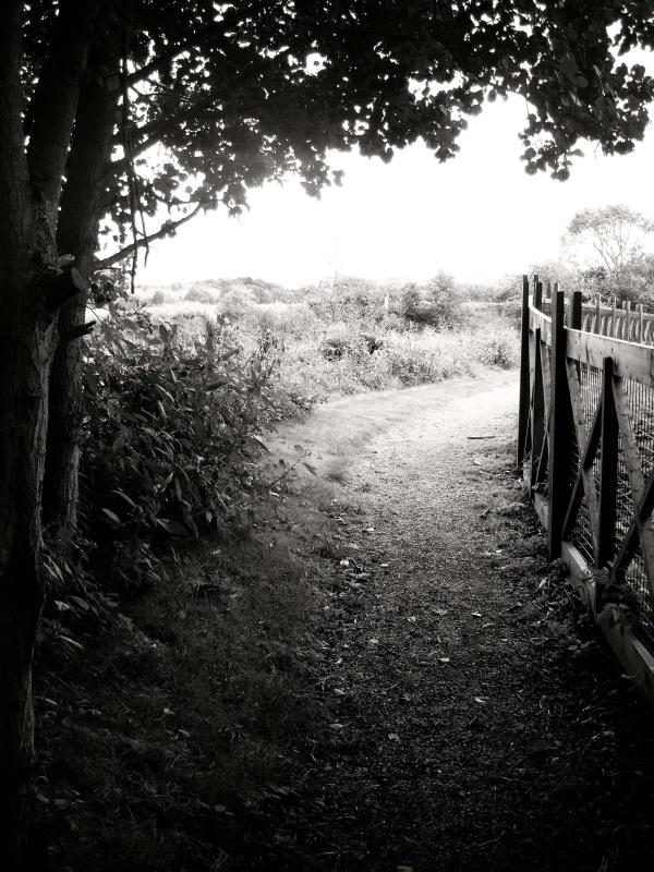 23rd September, well trodden path