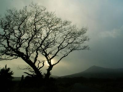 10th February 2005, through the glass, darkly...