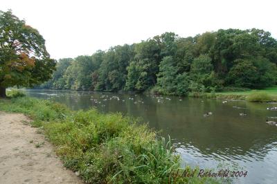 DRPond_6378.jpg