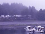 Vancouver Island in August 2004