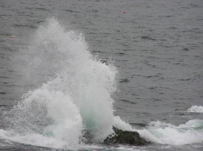 Waves