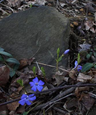grave 2