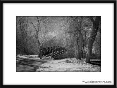 Infrared Bridge and TreesBlack& White Version