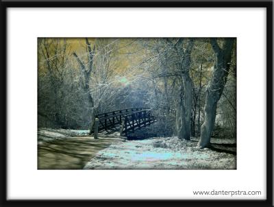 Infrared Bridge and Treesin Color