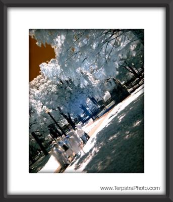 infrared-wedding_7832c.jpg