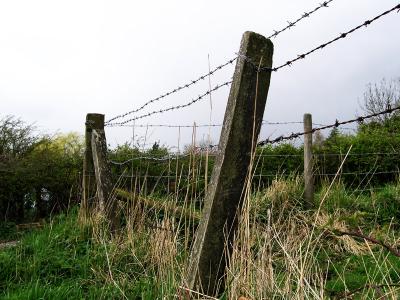 Barbed Wire  by dwit1