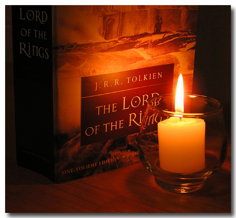 <b><I>1st Place</I></B> <BR>Lord of the Rings by:<br><b>christie2003 (Christie King)