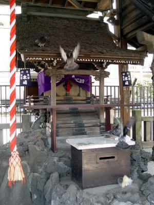 Tofu Offer-ings to his Inari's messenger fox