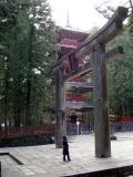 Biggest Stone Torii in Japan, Nikko