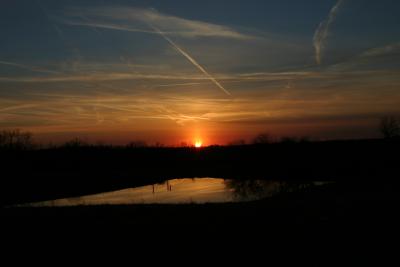 Sunset2_March_9_2005.jpg