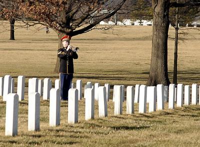 u42/paulcasi/medium/39610407.taps.jpg