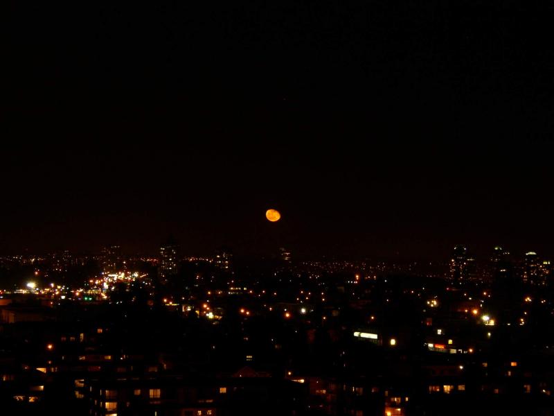 P3090046.jpg