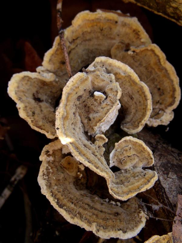 P3210059A.jpg