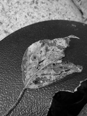 P3210108a.jpg