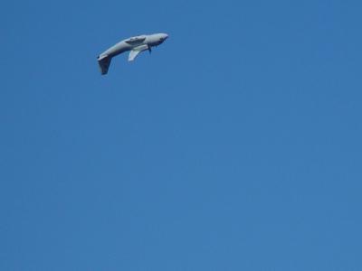 DSC03387.jpg