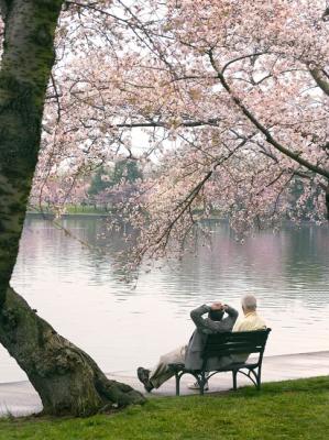 Enjoying the blossoms