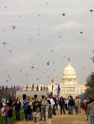 Kites