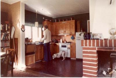 The kitchen.jpg