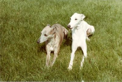 On_the_grass_1.jpg