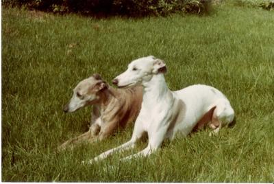 On_the_grass_2.jpg