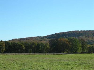 Sdersen's National Park at Skralid