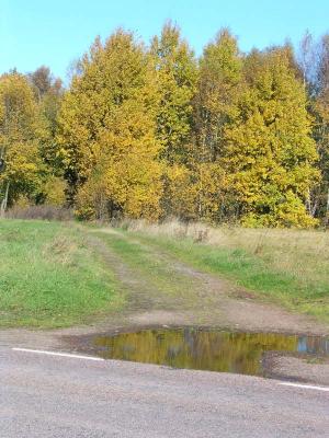 DSCN0394.jpg