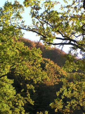 DSCN0403.jpg