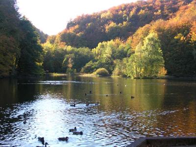 DSCN0408.jpg