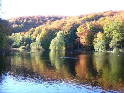 DSCN0410.jpg