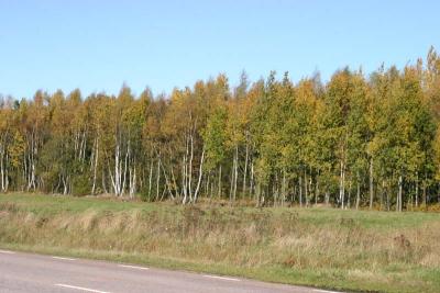 IMG_0797.jpg