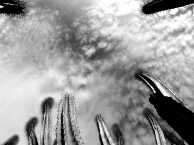 PICT0049a.jpg