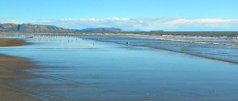 Paraparaumu Beach