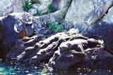Rock Sculptures, Lake Taupo