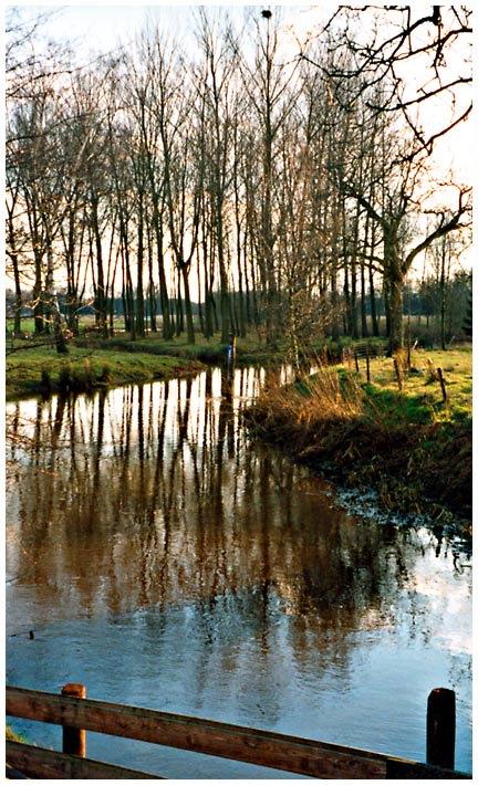 A stream near Nuenen