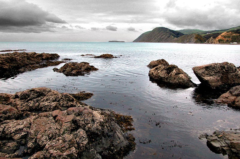 Ohariu Bay