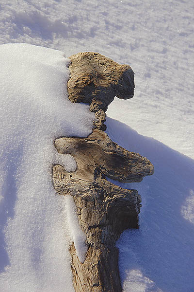 TOTEM OLITHIQUE