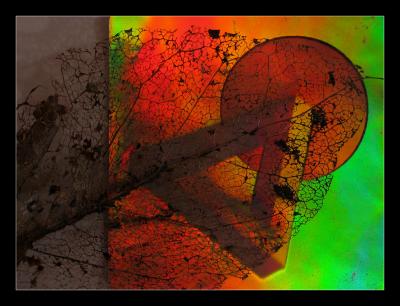 Jolie abstraction criarde